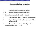 Imunoglobulinai 5 puslapis