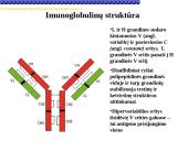 Imunoglobulinai 6 puslapis