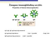 Imunoglobulinai 10 puslapis