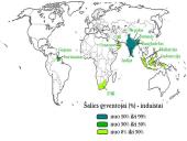 Faktai apie induizmą 3 puslapis
