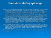 Informacijos paieška šiandieniniame pasaulyje 12 puslapis