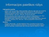 Informacijos paieška šiandieniniame pasaulyje 5 puslapis