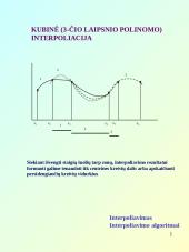 Interpoliavimo principai 11 puslapis