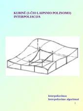 Interpoliavimo principai 12 puslapis