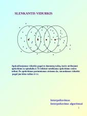 Interpoliavimo principai 13 puslapis