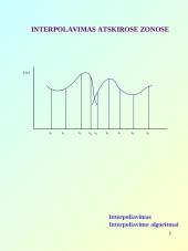 Interpoliavimo principai 9 puslapis