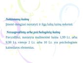 Kainodaros strategijos 14 puslapis