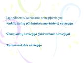 Kainodaros strategijos 3 puslapis