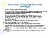 Kainodaros strategijos 6 puslapis
