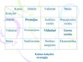 Kainodaros strategijos 8 puslapis
