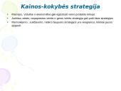 Kainodaros strategijos 9 puslapis