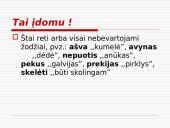 Lietuvių kalbos formavimasis 9 puslapis