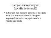 Kanto etinė sistema 11 puslapis