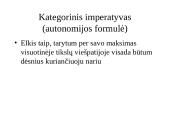 Kanto etinė sistema 12 puslapis