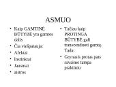 Kanto etinė sistema 3 puslapis