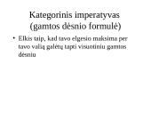 Kanto etinė sistema 10 puslapis