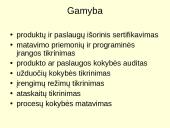 Kokybės kaštai ir jų kategorijos 15 puslapis