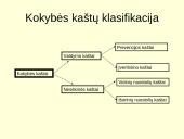Kokybės kaštai ir jų kategorijos 3 puslapis