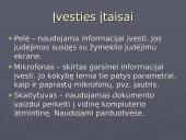 Aparatinė ir programinė kompiuterio įranga 11 puslapis