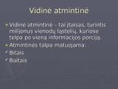 Aparatinė ir programinė kompiuterio įranga 6 puslapis