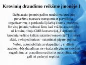 Krovinių draudimas Lietuvoje 12 puslapis