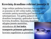 Krovinių draudimas Lietuvoje 13 puslapis