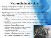 Krovinių draudimas Lietuvoje 19 puslapis