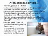 Krovinių draudimas Lietuvoje 20 puslapis