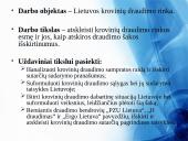 Krovinių draudimas Lietuvoje 3 puslapis