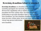 Krovinių draudimas Lietuvoje 4 puslapis