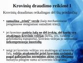 Krovinių draudimas Lietuvoje 10 puslapis