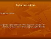 Kvėpavimo funkcijas gerinantys preparatai 2 puslapis