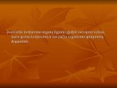 Kvėpavimo funkcijas gerinantys preparatai 3 puslapis