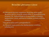 Kvėpavimo funkcijas gerinantys preparatai 6 puslapis