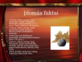 Lietuvos Respublika 11 puslapis