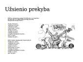 Lietuvos Respublika 9 puslapis