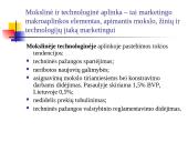 Marketingo aplinka 11 puslapis
