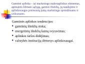 Marketingo aplinka 13 puslapis