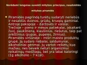 Mitybos režimas 12 puslapis