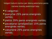 Mitybos režimas 16 puslapis