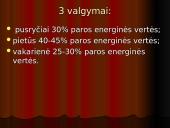 Mitybos režimas 17 puslapis