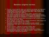 Mitybos režimas 18 puslapis