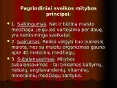 Mitybos režimas 10 puslapis