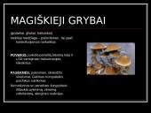 Narkotikai. Nuo A iki Z 11 puslapis