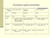 Nekilnojamo turto vertinimas 13 puslapis