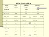 Nekilnojamo turto vertinimas 10 puslapis