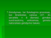 Normalus gimdymas. Normalaus gimdymo laikotarpiai 2 puslapis