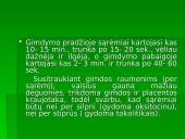 Normalus gimdymas. Normalaus gimdymo laikotarpiai 15 puslapis