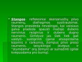 Normalus gimdymas. Normalaus gimdymo laikotarpiai 16 puslapis