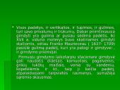 Normalus gimdymas. Normalaus gimdymo laikotarpiai 18 puslapis